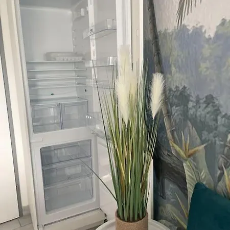 Sur La Plage, Piscine, Wifi, Tv, Netflix Apartment